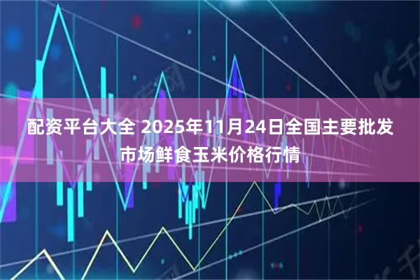 配资平台大全 2025年11月24日全国主要批发市场鲜食玉米价格行情